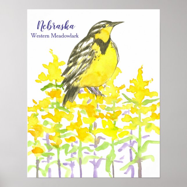 Nebraska Westerna Meadowlark Poster (Framsidan)
