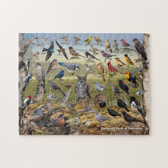 Nebraskas bakgård pussel (Horisontell)