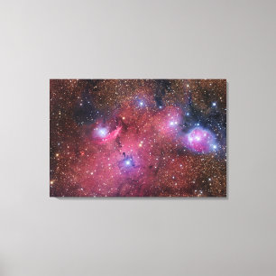 Nebula för NGC 6559 i Sagittarius Canvastryck