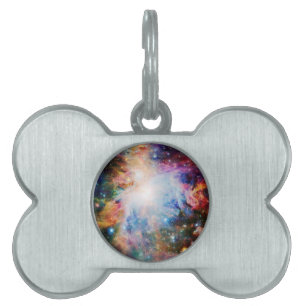 Nebula Namnbricka Husdjur