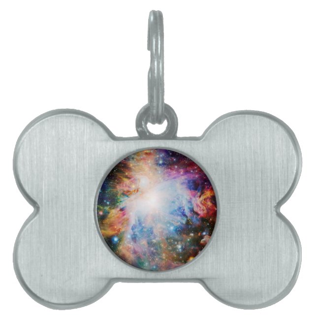 Nebula Namnbricka Husdjur (Framsidan)