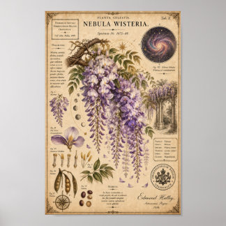 Nebula Wisteria Victorian Botanical Museum Tryck