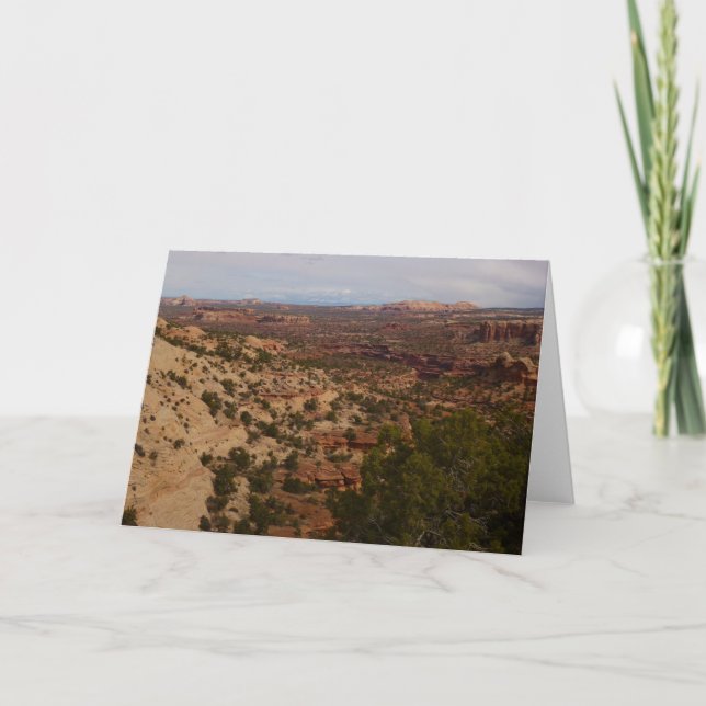 Neck Springs Trail i Canyonlands National Park Kort (Framsida)