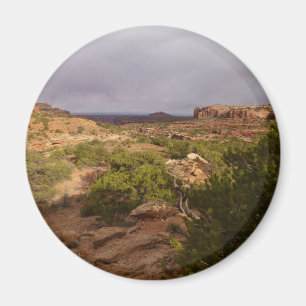 Neck Springs Trail i Canyonlands National Park Magnet