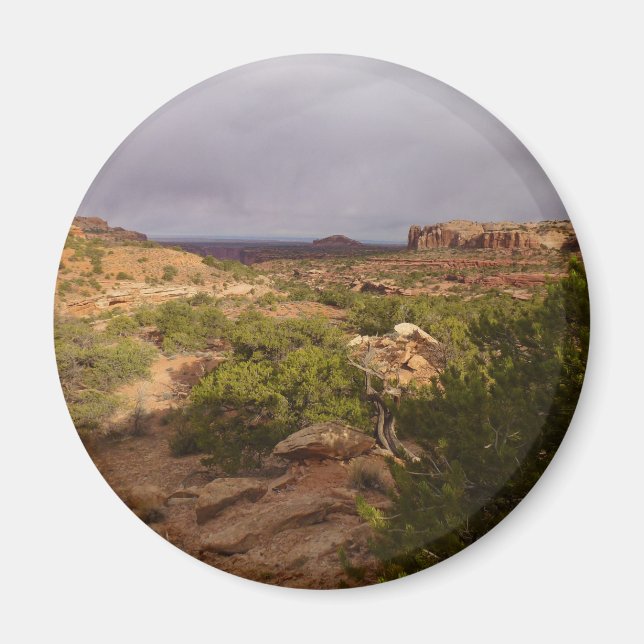 Neck Springs Trail i Canyonlands National Park Magnet (Framsidan)