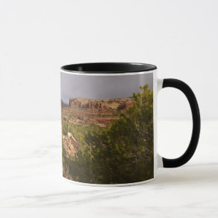 Neck Springs Trail i Canyonlands National Park Mugg
