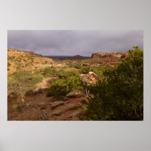 Neck Springs Trail i Canyonlands National Park Poster