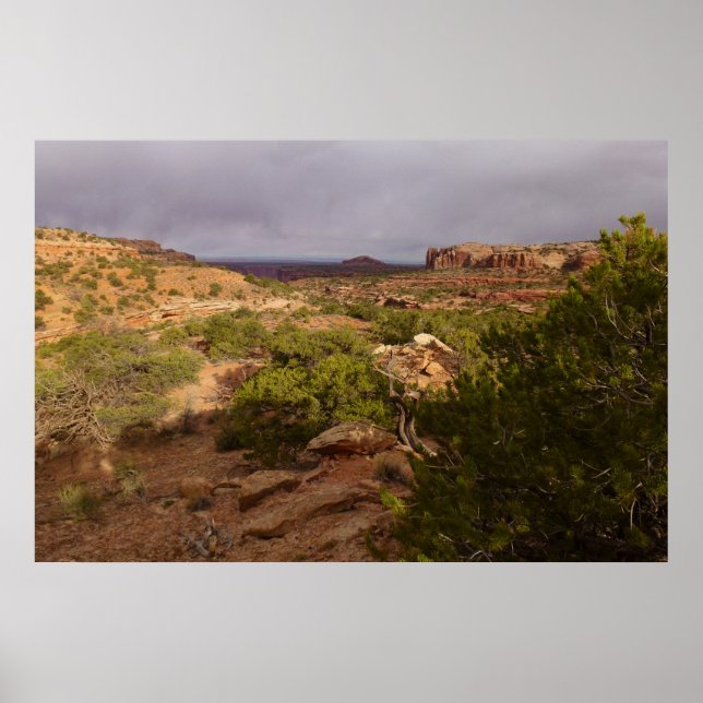 Neck Springs Trail i Canyonlands National Park Poster (Framsidan)