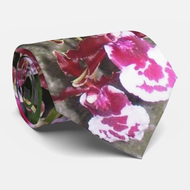 Necktie - Tolumnia Jairak Rainbow Orchid Slips (Rullad)