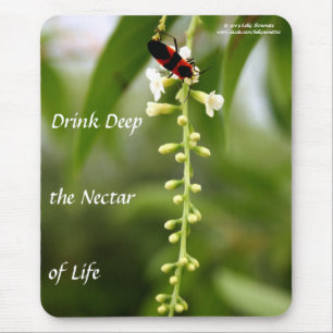 Nectar av liv musmatta