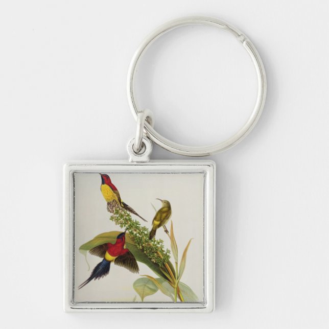 Nectarinia Gouldae Fyrkantig Silverfärgad Nyckelring (Framsidan)