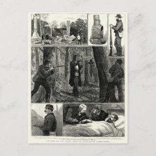 Ned Kelly Gang Vykort