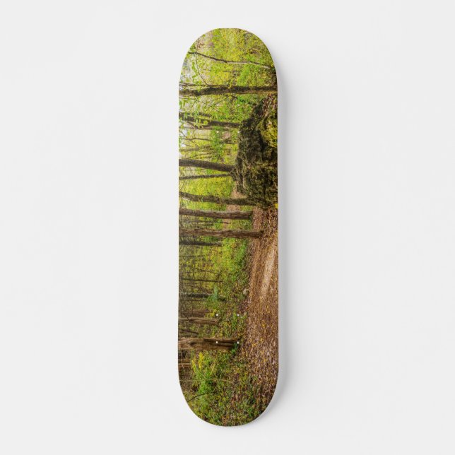 Ned och runt mini skateboard bräda 18,5 cm (Framsida)