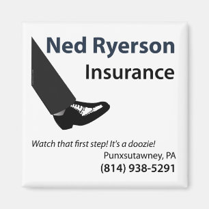 Ned Ryerson kylmagnet Magnet
