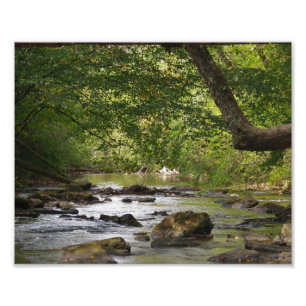 Ned Stream Fototryck