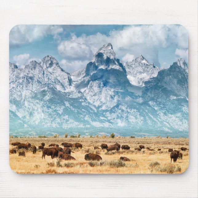 Nedanför buffel de storslagna Teton bergen Musmatta (Framsidan)