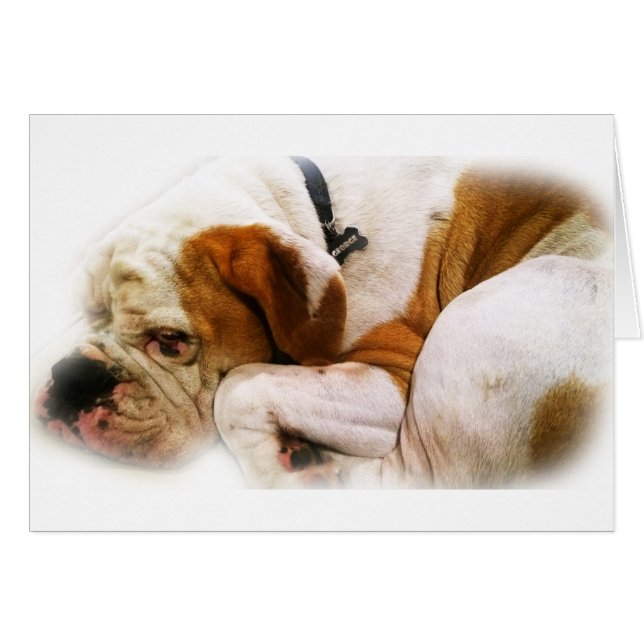 Nedåtriktad Hund Hälsningskort (Framsidan Horizontal)