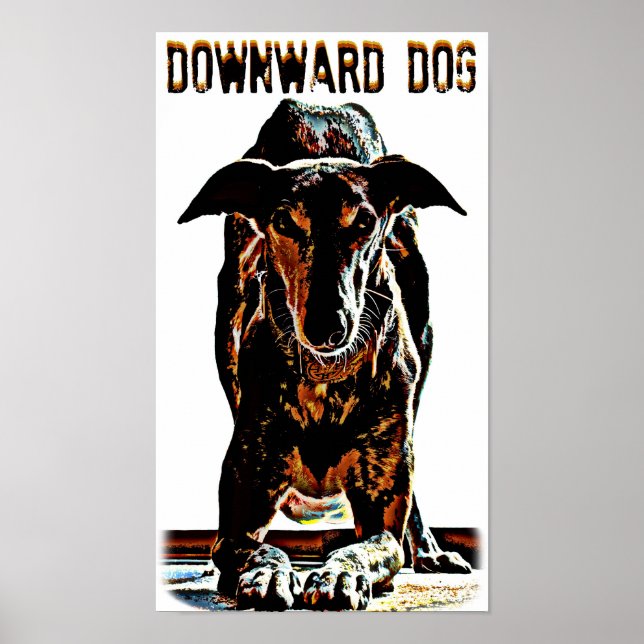 Nedåtriktad Hund Poster (Framsidan)