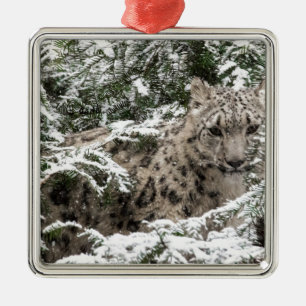 Nederlag för unge för snöLeopard Julgransprydnad Metall