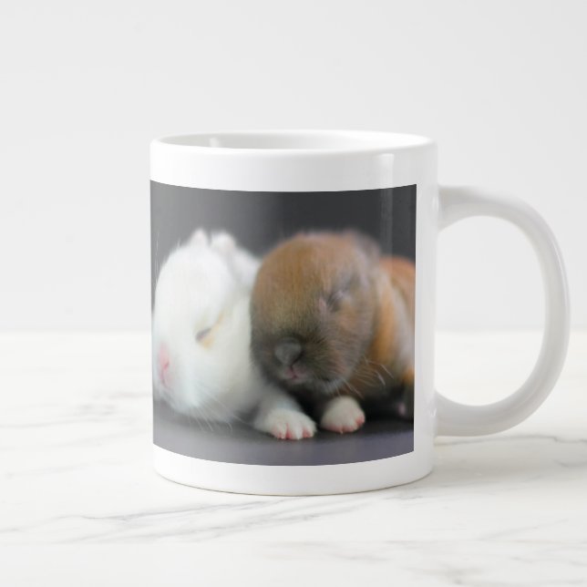Nederland Dwarf-kaniner Jumbo Mugg (Höger)