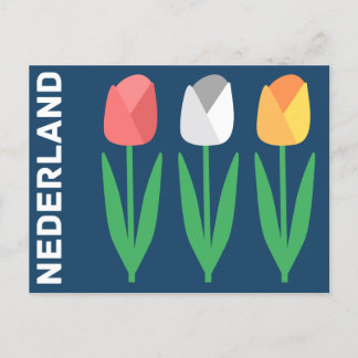 Nederland (Nederländerna) Vykort