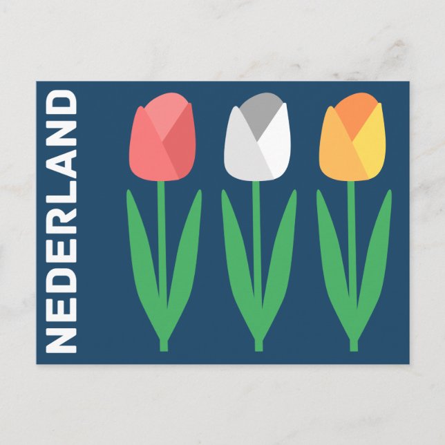 Nederland (Nederländerna) Vykort (Framsida)