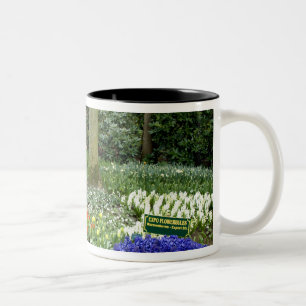 Nederländerna aka Holland), Lisse. Keukenhof 11 Två-Tonad Mugg