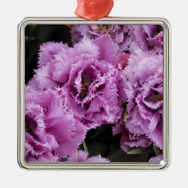 Nederländerna (alias Holland), Lisse. Keukenhof 2 Julgransprydnad Metall (Framsidan)