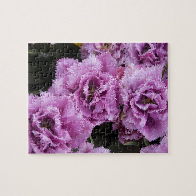 Nederländerna (alias Holland), Lisse. Keukenhof 2 Pussel (Horisontell)