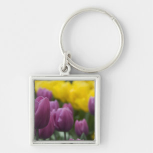 Nederländerna (även kallat Holland), Lisse. Keuken Fyrkantig Silverfärgad Nyckelring