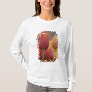 Nederländerna (även kallat Holland), Lisse. Keuken T Shirt