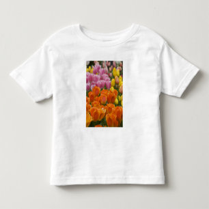 Nederländerna (även kallat Holland), Lisse. Keuken T-shirt