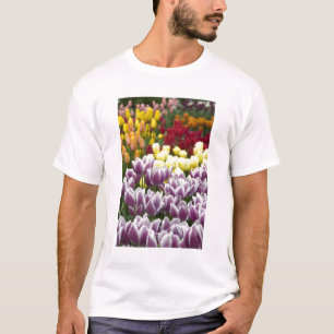 Nederländerna (även kallat Holland), Lisse. Keuken Tee Shirt
