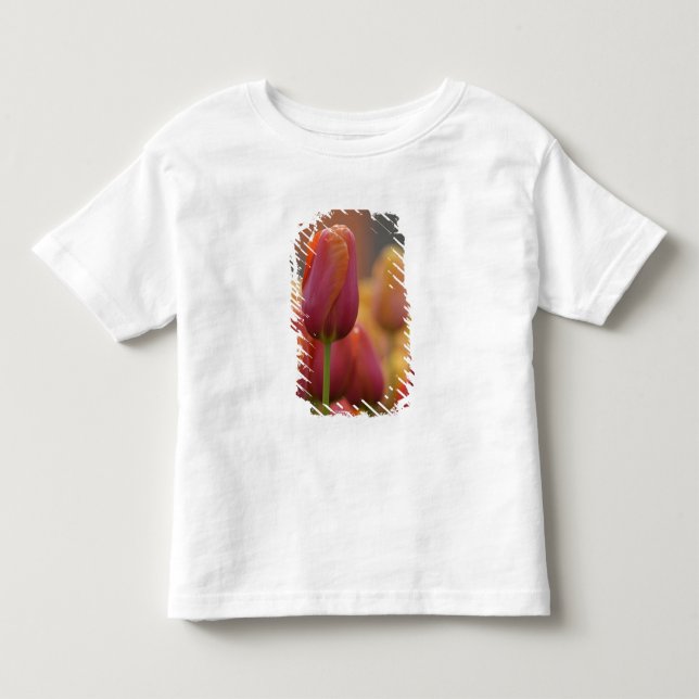 Nederländerna (även kallat Holland), Lisse. Keuken Tee Shirt (Framsida)