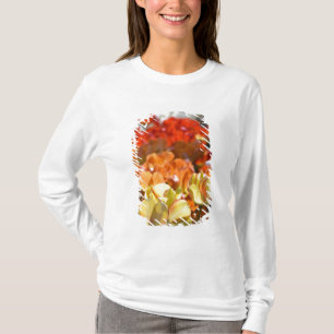 Nederländerna (även kallat Holland), Lisse. Keuken Tee Shirt