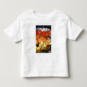 Nederländerna (även kallat Holland), Lisse. Keuken Tee Shirt