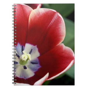 Nederländerna (även känd som Holland), Lisse. Keuk Anteckningsbok Med Spiral