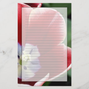 Nederländerna (även känd som Holland), Lisse. Keuk Brevpapper