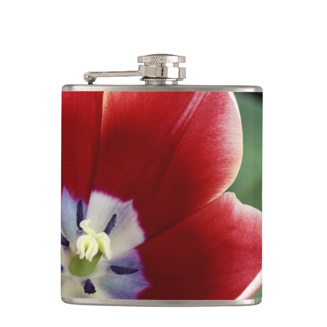 Nederländerna (även känd som Holland), Lisse. Keuk Fickplunta (Framsidan)