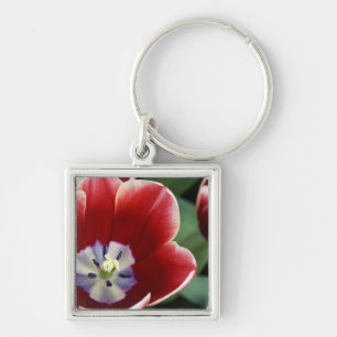 Nederländerna (även känd som Holland), Lisse. Keuk Fyrkantig Silverfärgad Nyckelring