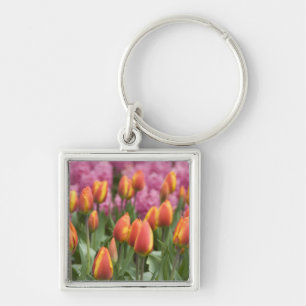 Nederländerna (även känd som Holland), Lisse. Keuk Fyrkantig Silverfärgad Nyckelring