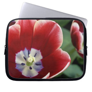 Nederländerna (även känd som Holland), Lisse. Keuk Laptop Sleeve