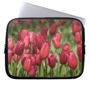 Nederländerna (även känd som Holland), Lisse. Keuk Laptop Sleeve