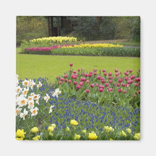 Nederländerna (även känd som Holland), Lisse. Keuk Magnet