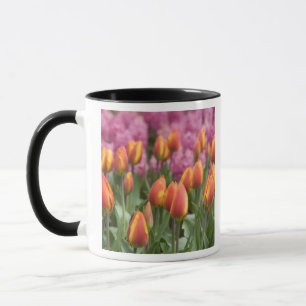 Nederländerna (även känd som Holland), Lisse. Keuk Mugg