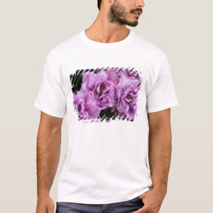 Nederländerna (även känd som Holland), Lisse. Keuk T Shirt