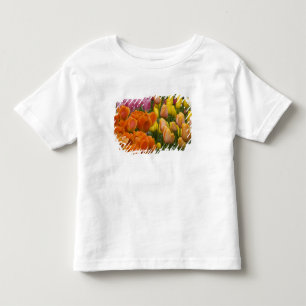 Nederländerna (även känd som Holland), Lisse. Keuk T-shirt