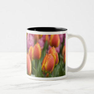 Nederländerna (även känd som Holland), Lisse. Keuk Två-Tonad Mugg
