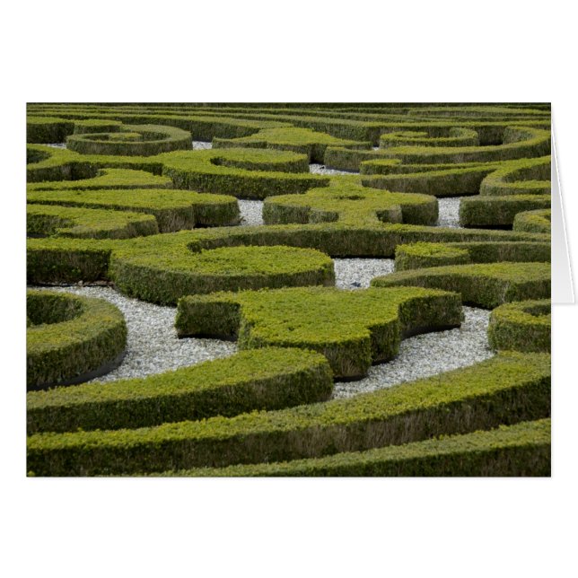 Nederländerna (även känt som Holland), Apeldoorn u Hälsningskort (Framsidan Horizontal)