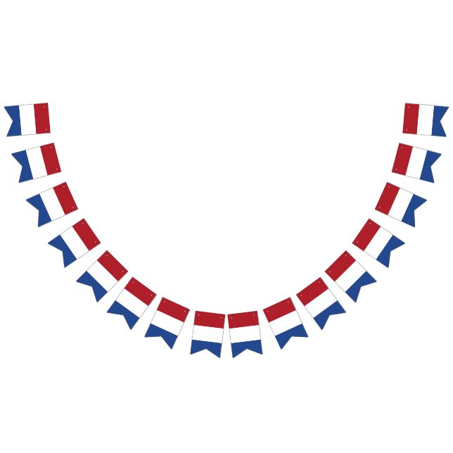 Nederländerna Flagga (Alla)